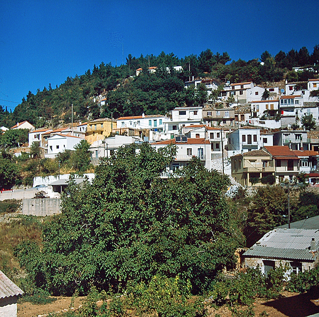 samos platanos bild 02