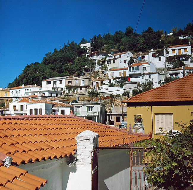 samos platanos bild 05