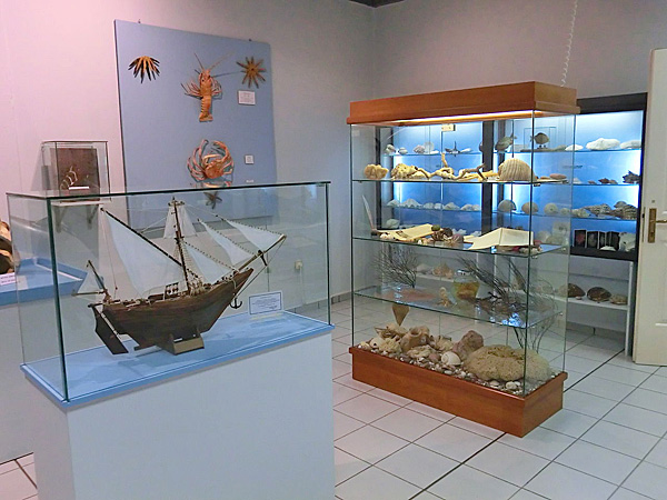 1280px-Museum_Mytilinii_Marine_Life_Hall_a